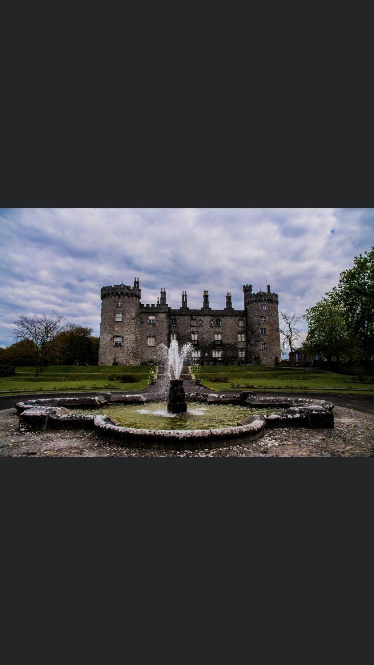 The Lodge - Rural Tipperary Bordering Kilkenny Ballingarry  外观 照片